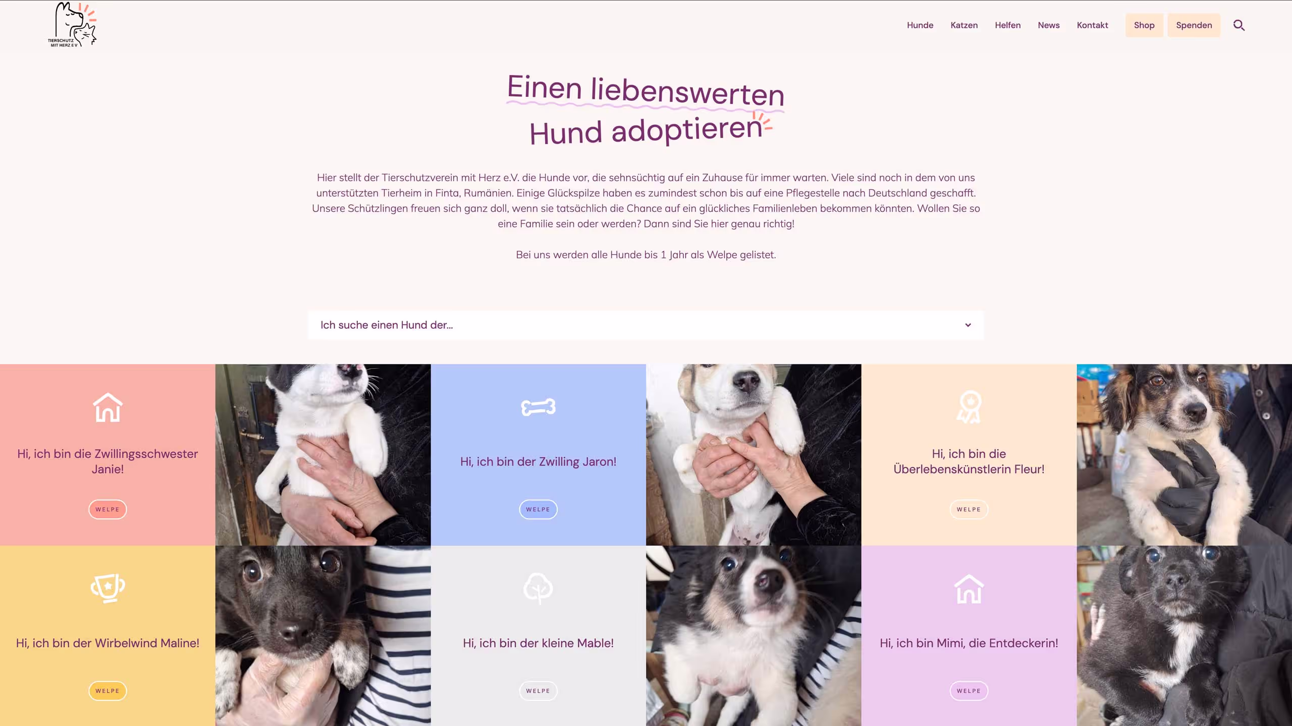 Screenshot of the Tierschutz mit Herz e.V. homepage